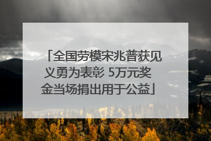 全国劳模宋兆普获见义勇为表彰 5万元奖金当场捐出用于公益